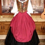 Pirate Wench Dress Gown Bodice Corset Skirt Costume Renaissance Medieval