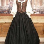 Pirate Wench Bodice and Skirt